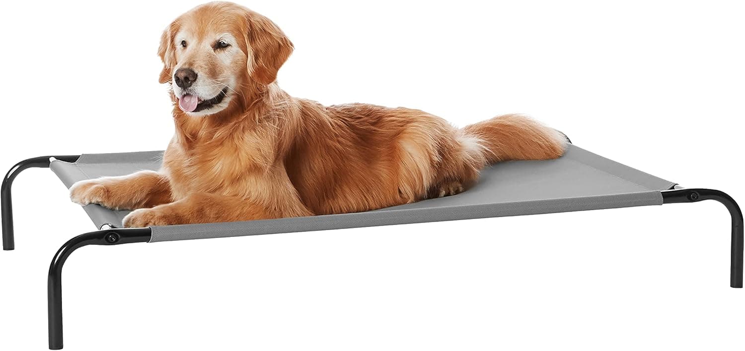 Elevated Dog Bed