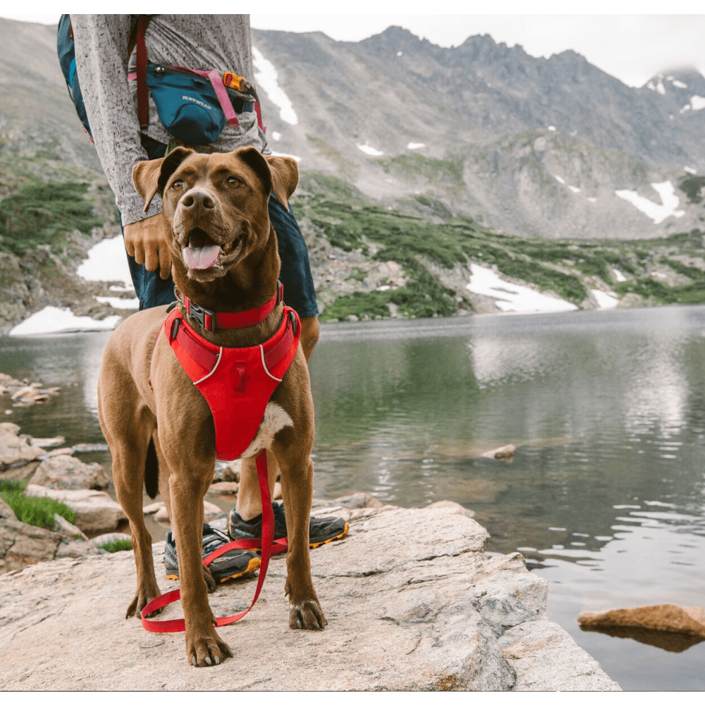 Ruffwear Front Range Harness