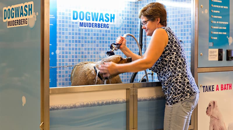 blog foto 7-tips-for-using-a-dog-wash-station-effectively