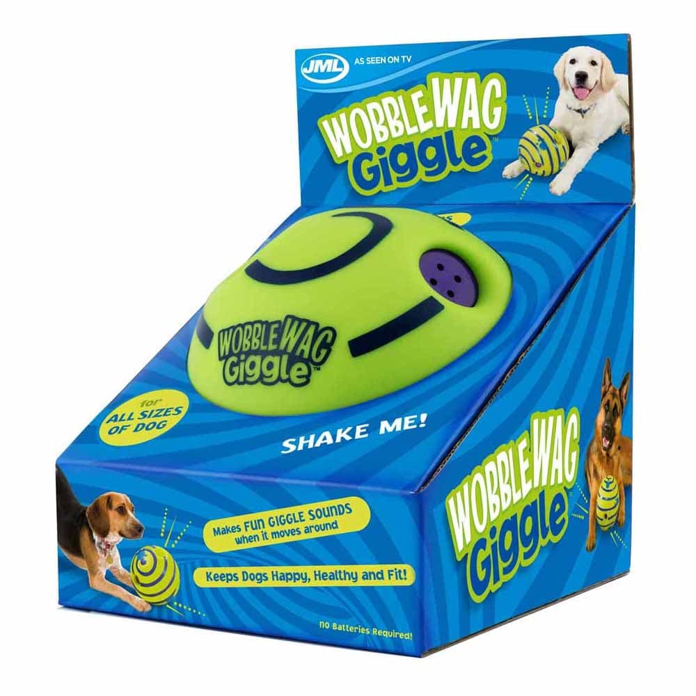 Interactive Toy