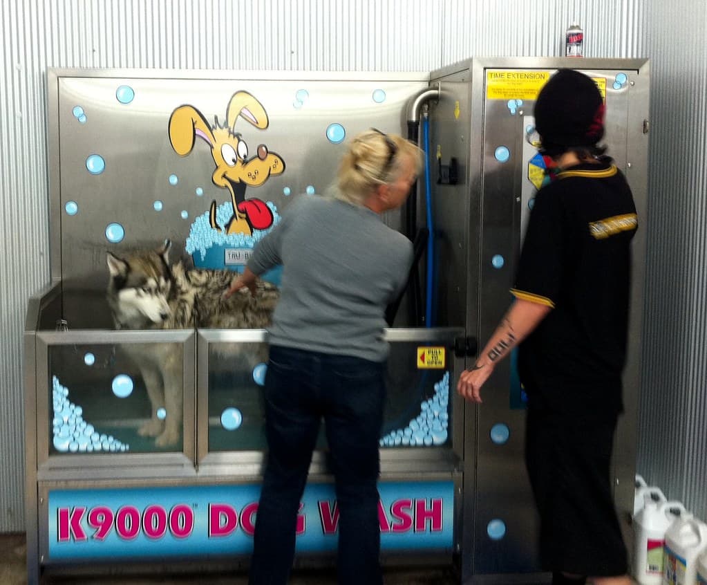 Warum eine Hundewaschanlage die clevere Wahl für einen sauberen und glücklichen Hund ist