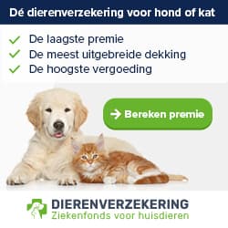 Dierenverzekering.nl