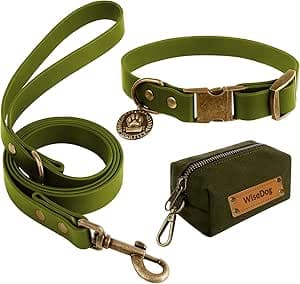 Wisedog Collar and Leash Set