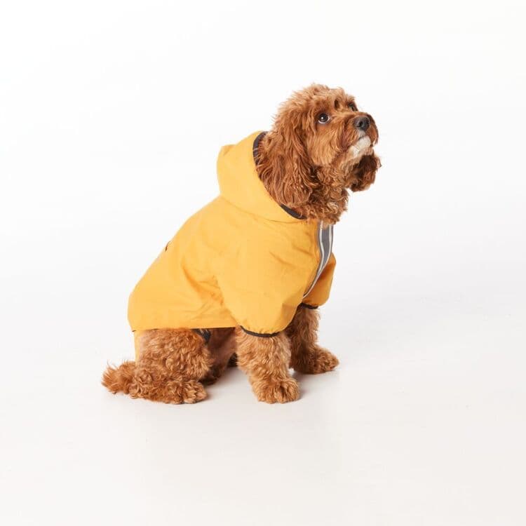 Dog Raincoat