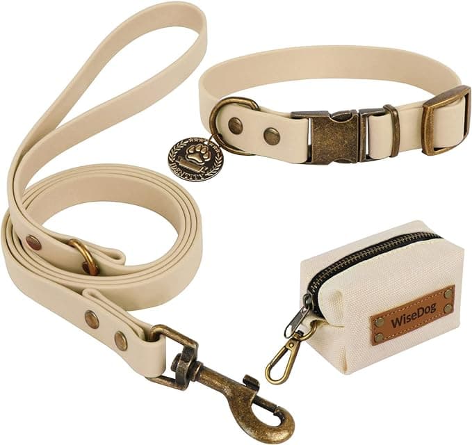 Leash and Collar Set