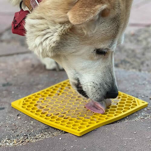 Lick Mat