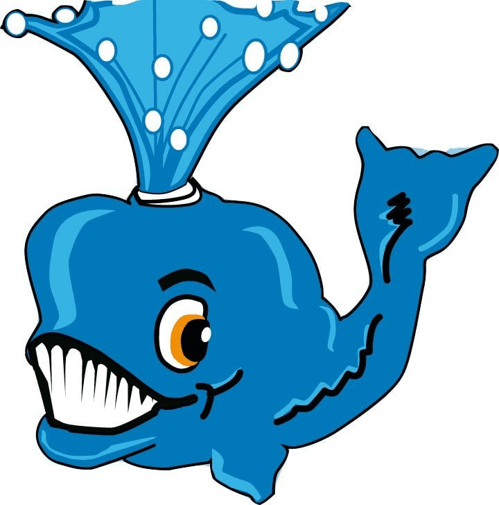 Wasstraat De Walvis - Papendrecht